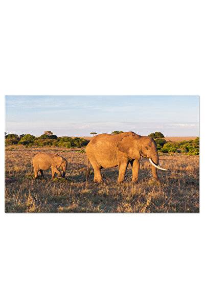 StoryGift Romania Tablou Canvas Elefant Cu Pui In Savannah Din Africa Natura,...