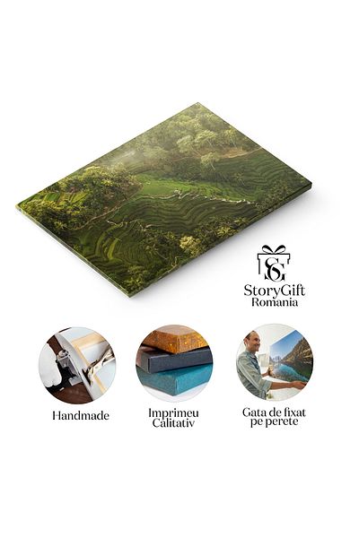 StoryGift Romania Tablou Canvas Tegalalang, Terasele De Orez In Bali, Indonesia, Abstract, Deasupra, Terase De Or