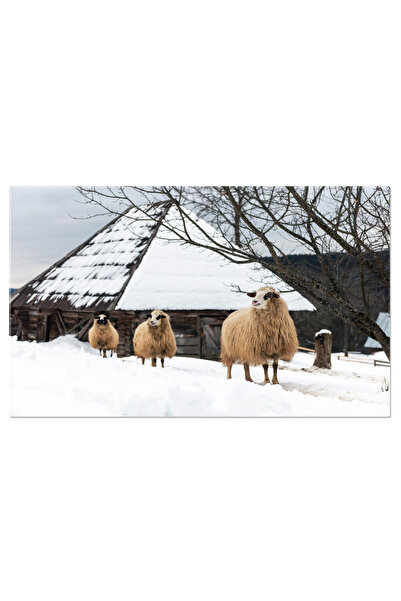 StoryGift Romania Tablou Canvas - Ferma De Iarna: Oi Albe In Peisaj Inzapezit