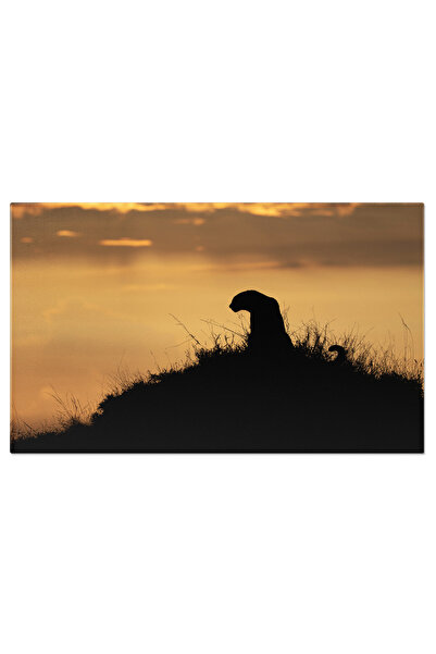 StoryGift Romania Tablou Canvas - Silueta Felinei: Forme Si Contururi In Sudu...