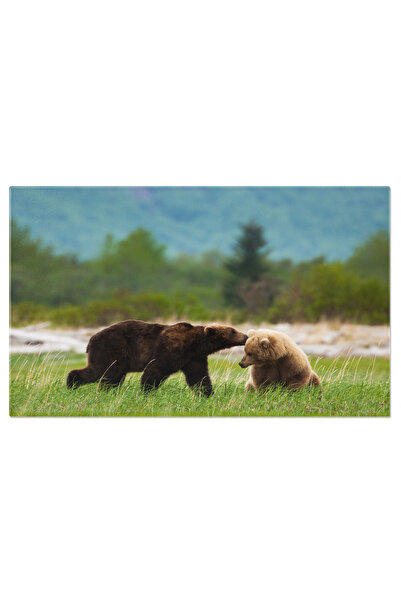 StoryGift Romania Tablou Canvas: 2 Ursi In Habitatul Lor Natural