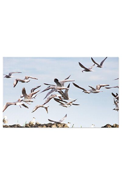 StoryGift Romania Tablou Canvas - Zbor Deasupra Apusului La Costa Da Caparica