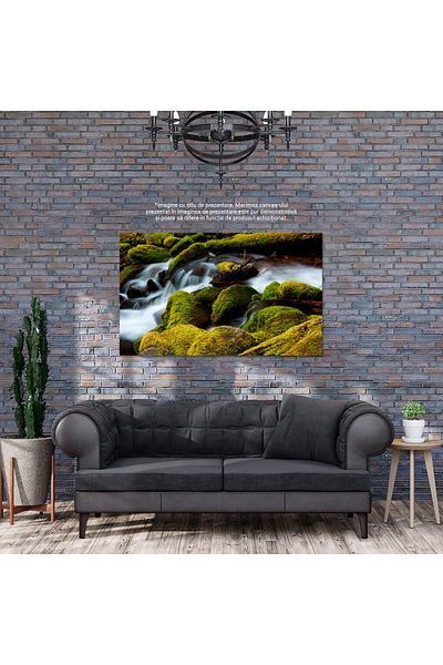 StoryGift Romania Tablou Canvas: Apa Curgatoare