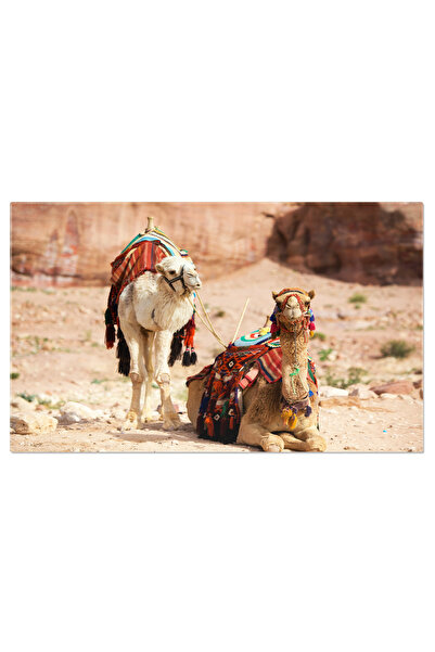 StoryGift Romania Tablou Canvas Camile In Petra, Iordania Camila, Petra, Iord...