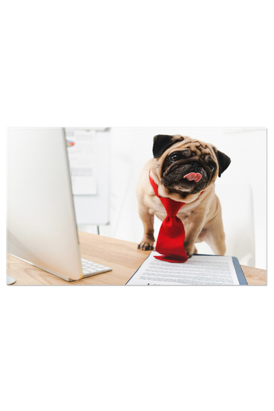 StoryGift Romania Tablou Canvas Caine Amuzant In Cravata Rosie Stilul Biznis ...