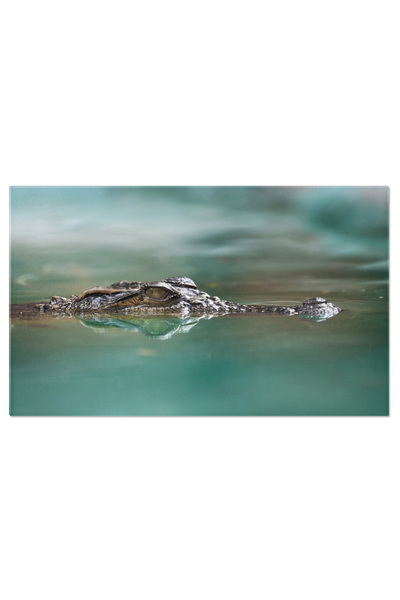 StoryGift Romania Tablou Canvas Croissant Cu Jamon Pregatit Pentru Bucurie La...