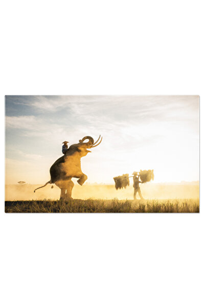 StoryGift Romania Tablou Canvas Elefanti La Rasarit In Salbaticia Thai Agro-c...