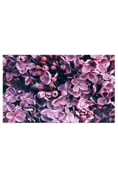 StoryGift Romania Tablou Canvas: Natura In Puritate - Flori Mov, Natura, Fund...