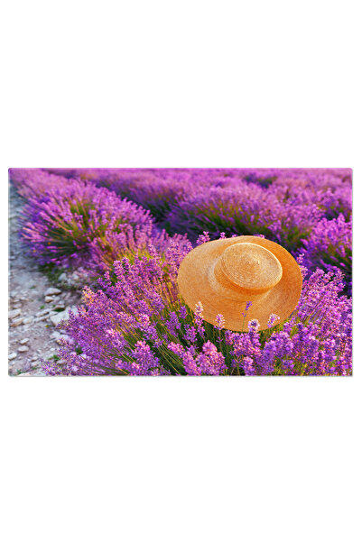 StoryGift Romania Tablou Canvas - Camp De Lavanda In Provence: Arome Si Frumusete