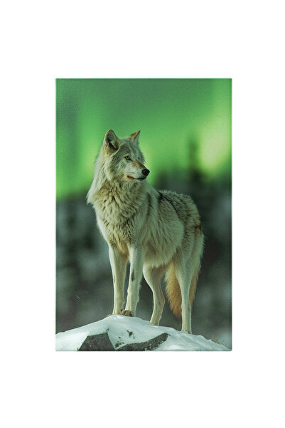 StoryGift Romania Tablou Canvas: Lupul Alb În Mediul Lui Polul Nord Verzuliu ...