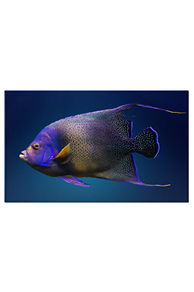 StoryGift Romania Tablou Canvas Peste Albastru In Mare, Fundal Intunecat, Pes...