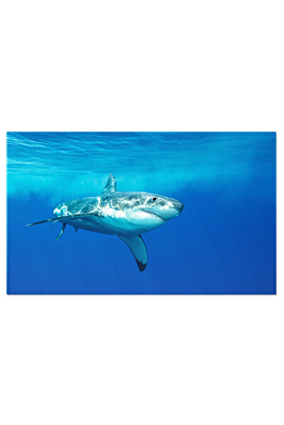 StoryGift Romania Tablou Canvas: Pradatorul Oceanului - Rechin Mare Alb, Natura, Mare