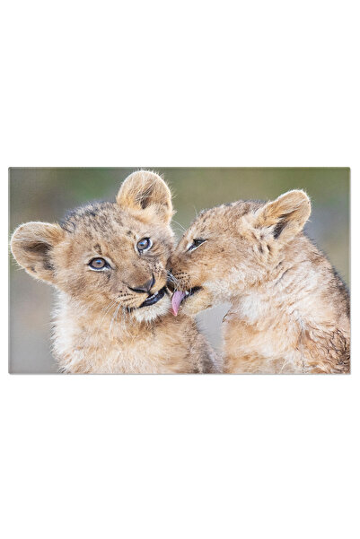StoryGift Romania Tablou Canvas: Pui De Leu - Gingasie In Regatul Salbatic