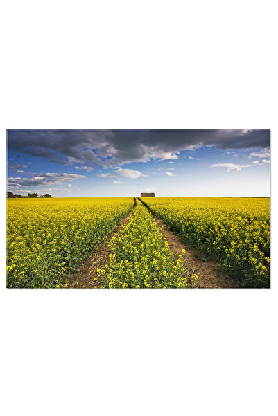 StoryGift Romania Tablou Canvas: Frumusetea Naturala