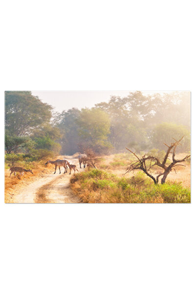 StoryGift Romania Tablou Canvas - Arta Machiajului: Culori Si Frumusete In De...