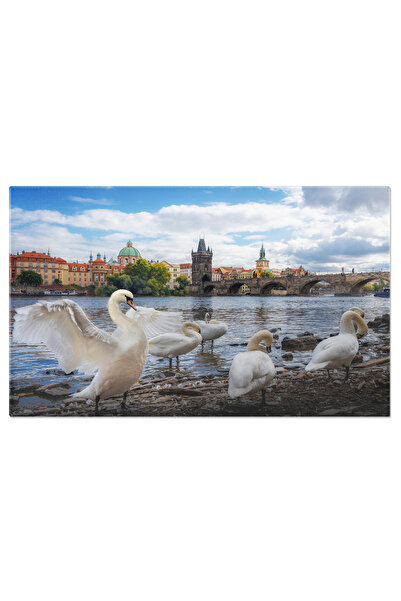 StoryGift Romania Tablou Canvas Lebeda In Fata Podului Charles, Arhitectura, ...
