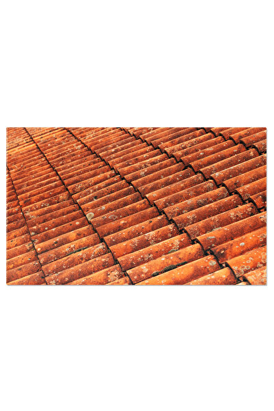 StoryGift Romania Tablou Canvas - Acoperisul De Teracota Rustic - Detaliu Arh...