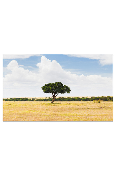 StoryGift Romania Tablou Canvas Turist Steand In Apa Linistita, Cer, Roz, Lac...