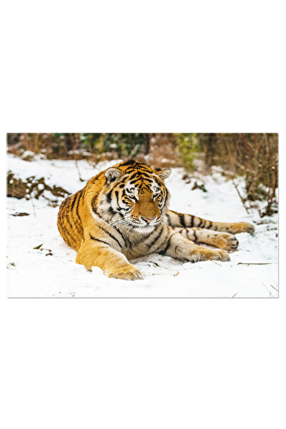 StoryGift Romania Tablou Canvas Tigru In Zapada, Salbatic Siberian, Iarna, Na...