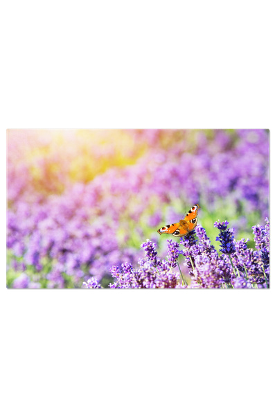 StoryGift Romania Tablou Canvas Ciclist In Casca Si Echipament Sportiv Bicicl...