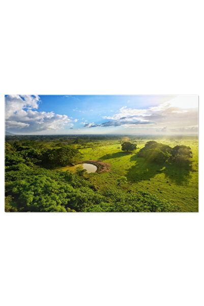 StoryGift Romania Tablou Canvas: Natura Tropicala Din Republica Dominicana, J...