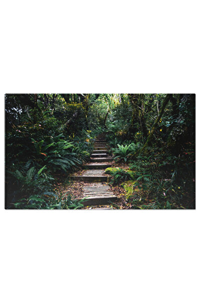 StoryGift Romania Tablou Canvas - Destinatie In Padurea Tropicala Din Noua Ze...