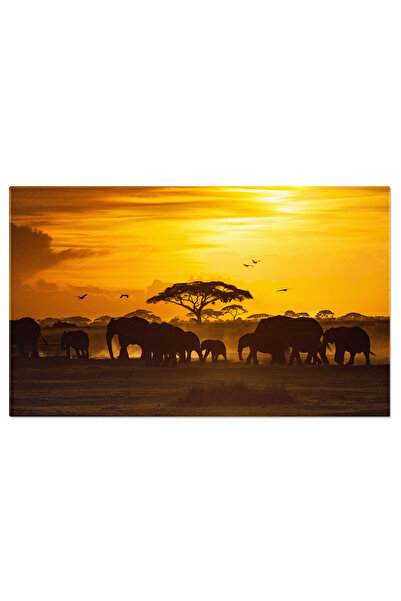 StoryGift Romania Tablou Canvas Plaja Hemmick, Cornwall, Anglia, Plaja, Hemmi...