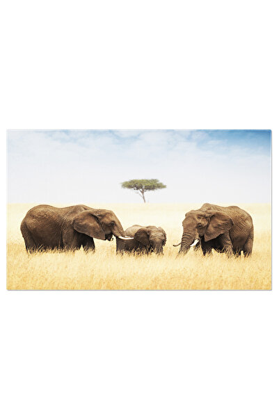 StoryGift Romania Tablou Canvas Trei Elefanti In Iarba Inalta Din Africa, Saf...
