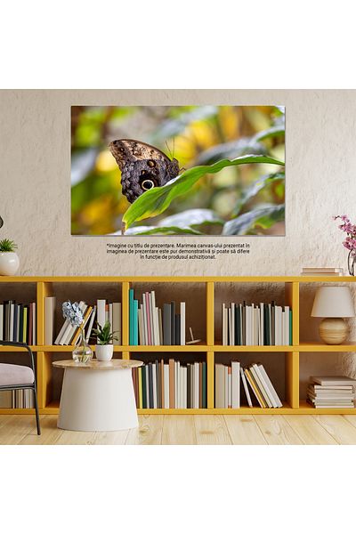 StoryGift Romania Tablou Canvas - Fauna Si Flora Exotica: Flamingo Si Flora In Armonie