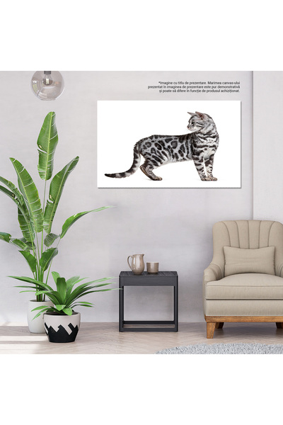 StoryGift Romania Tablou Canvas - Eleganta Felinelor - Pisica Domestica Cu Personalitate