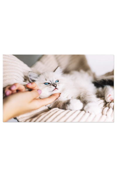 StoryGift Romania Tablou Canvas Cu Dragoste Pentru Animale - Prietenie Cu O P...