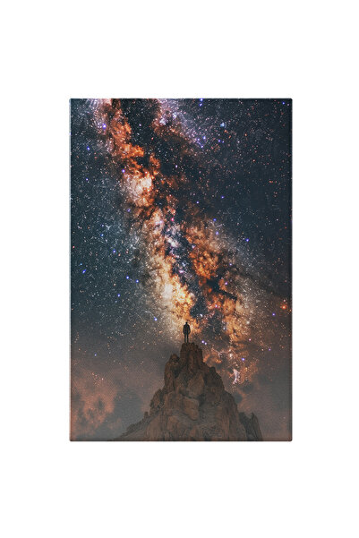 StoryGift Romania Tablou Canvas: Omul Ce Privește Spectacolul Sclipitor Al St...