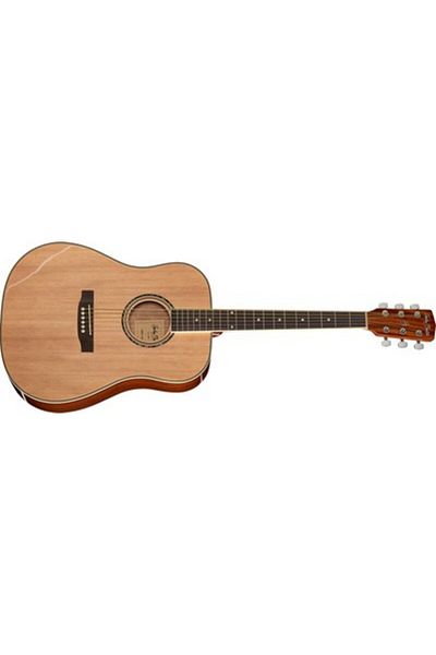 Harley Benton Harley Benton D120NT Acoustic Guitar