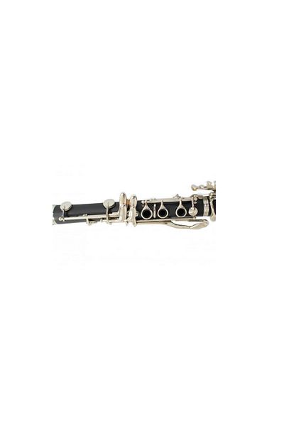 Parrot Parrot 7401S B-flat clarinet 17 keys and 6 rings