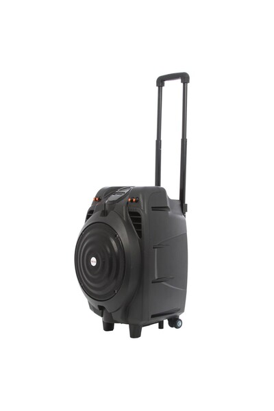 AKAI Akai SS023A-X10 portable speaker, bluetooth, wireless microphone