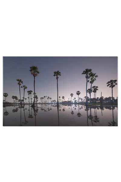 StoryGift Romania Tablou Canvas Eco-farm Plantatii De Rijea Si Baloturi, Bale...