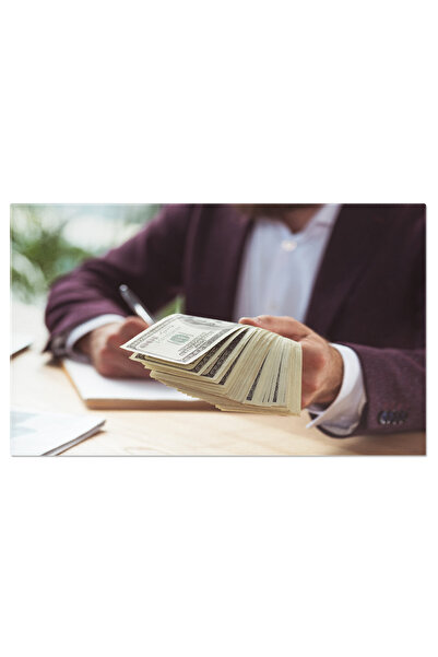 StoryGift Romania Tablou Canvas, Finante In Mainile Omului De Afaceri, Succes...