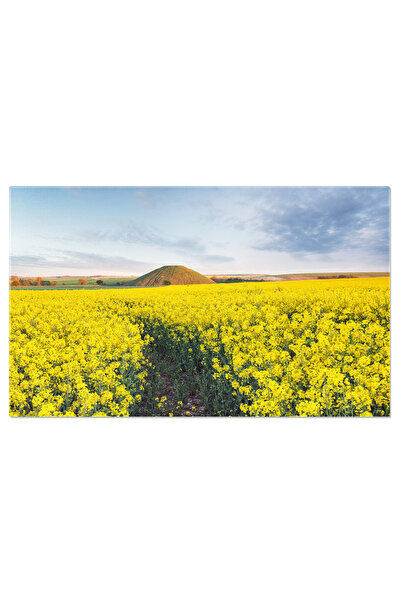 StoryGift Romania Tablou Canvas Dealul Silbury, Camp, Flori, Agricultura, Ave...