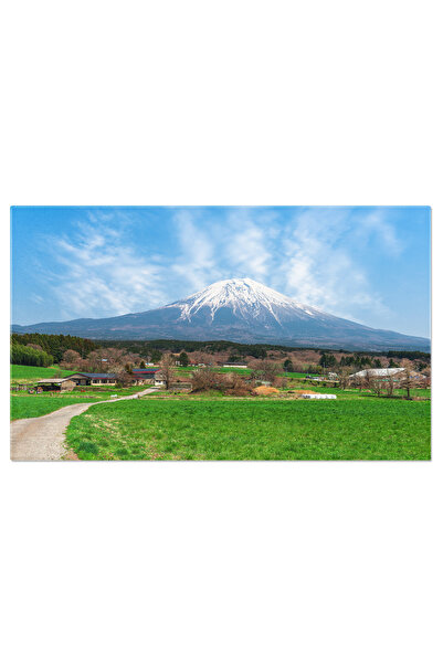 StoryGift Romania Tablou Canvas: Vedere La Taramul In Asia - Peisaj Rural Cu ...