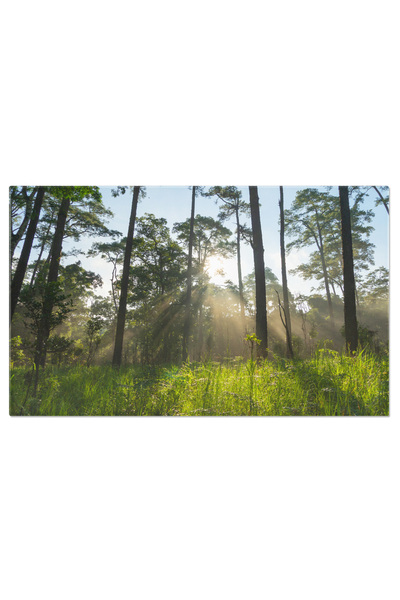 StoryGift Romania Tablou Canvas Pe Drum Prin Ceata Muntilor Dimineata, Natura, Peisaj, Exploreaza, Aventura. 2021