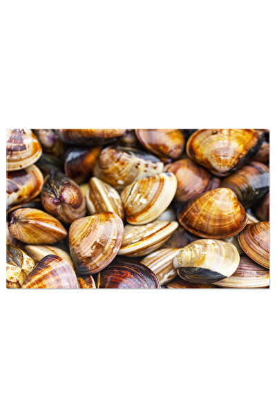 StoryGift Romania Tablou Canvas Scoici Proaspete Necooked Pentru Fondue, Fres...