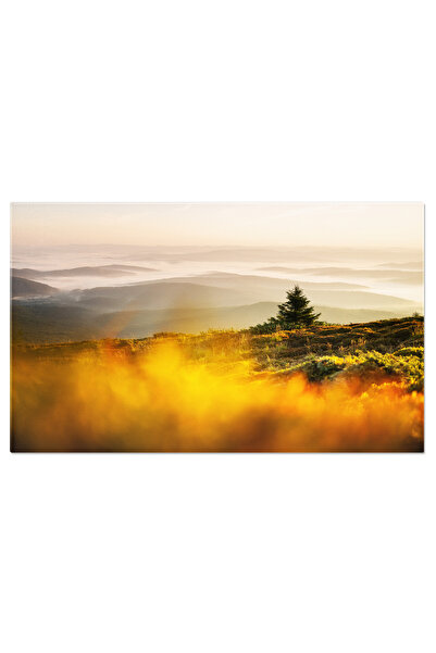 StoryGift Romania Tablou Canvas Ceata Diminetii In Muntii Primaverii Munti, Ceata, Peisaj, Natura, Dimineata 3089