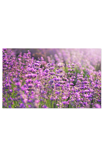 StoryGift Romania Tablou Canvas Lavanda In Detaliu, Aromaterapie, Flori, Natu...