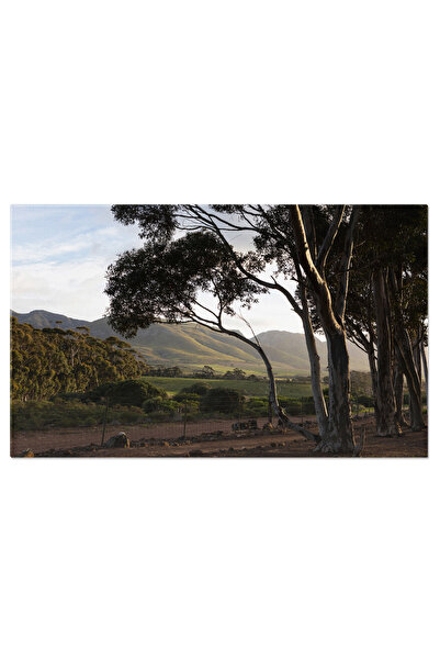 StoryGift Romania Tablou Canvas: Drum Prin Muntii Africii De Sud - Peisaj Mon...