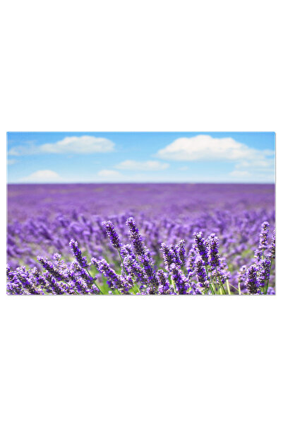 StoryGift Romania Tablou Canvas Camp De Lavanda Cu Flori Inflorite, Valea Val...