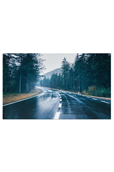 StoryGift Romania Tablou Canvas: Drumul Ploios - Peisaj Melancolic Cu Ceturi ...