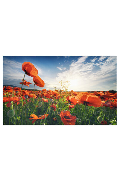 StoryGift Romania Tablou Canvas Apus Peste Camp Cu Maci Rosii, Camp, Maci, Ap...