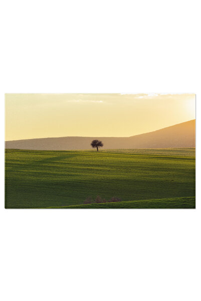 StoryGift Romania Tablou Canvas Arbore In Mijlocul Unui Camp, Natura, Peisaj,...