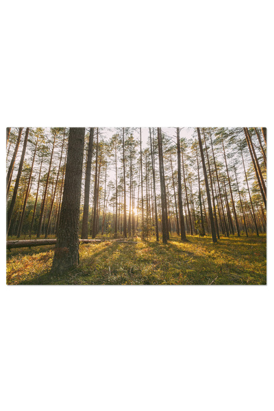 StoryGift Romania Tablou Canvas Drum Rural Cu Cer Dramatic; Munti, Drum, Iarb...