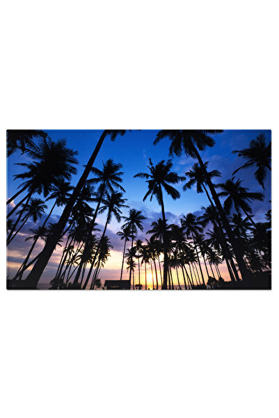 StoryGift Romania Tablou Canvas - Peisaj Tropic La Apus - Reflexii Si Palmier...